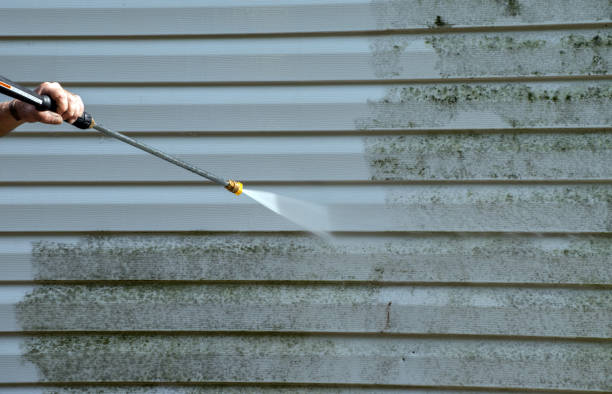 Best Roof Cleaning and Mildew Removal in Mountain House, CA